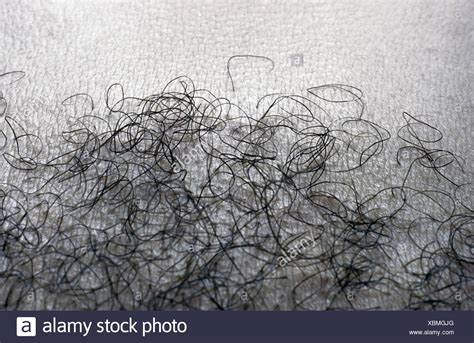atk hairy teen pics|250 Pubic Hair Photos Stock Photos & High.